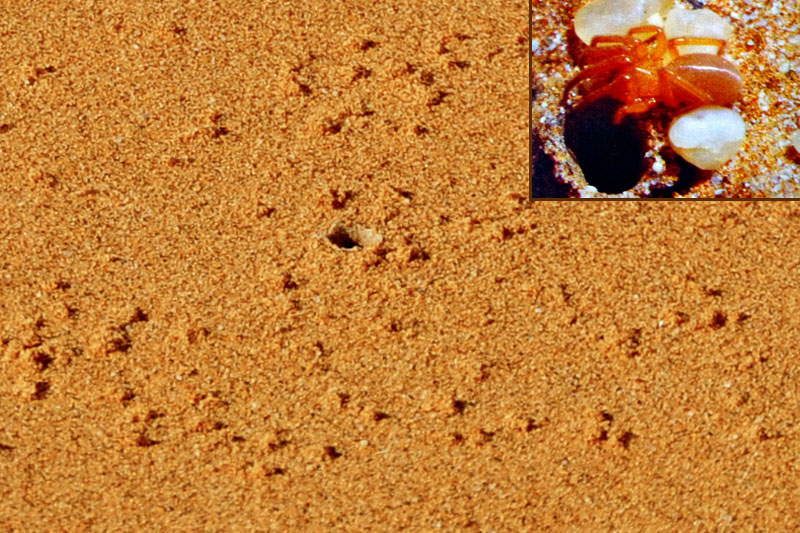 Namibia